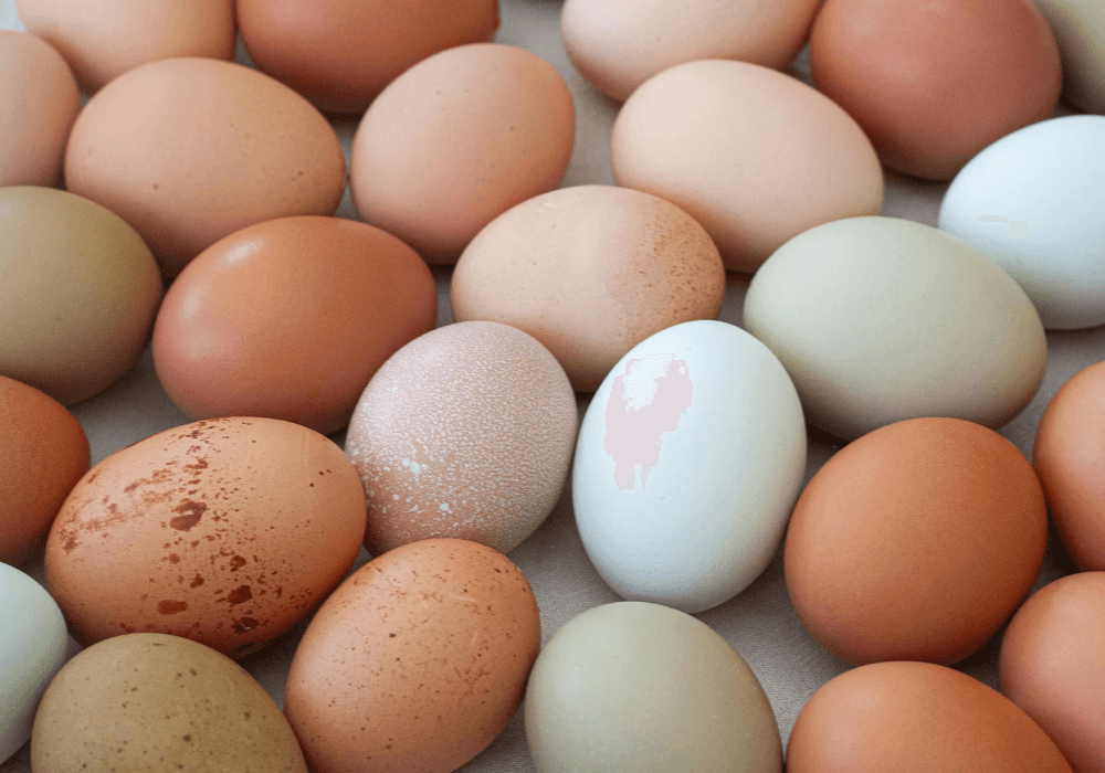 A variety of eggs in different colors and textures scattered across a surface.