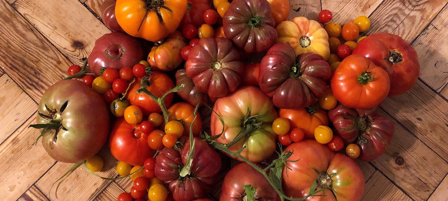 Large variety of fresh garden tomatoes on a brown butcher block countertop