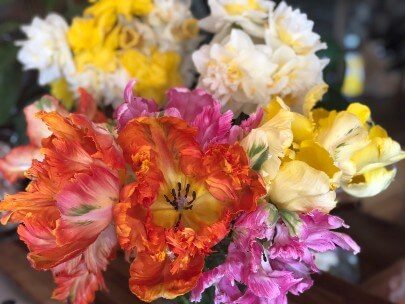 Small bouquet of red, pink, yellow and white flowers bunched together