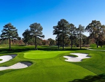 View of a golf course showing putting green, sand traps and several tall trees against a blue sky